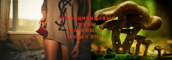 тгк Бородино