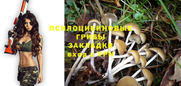 трава Бронницы