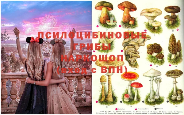 тгк Бородино