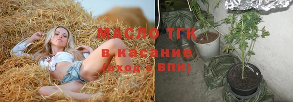 тгк Бородино