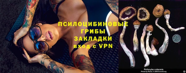 трава Бронницы