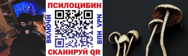 Псилоцибиновые грибы MAGIC MUSHROOMS  Купить где  Салават 
